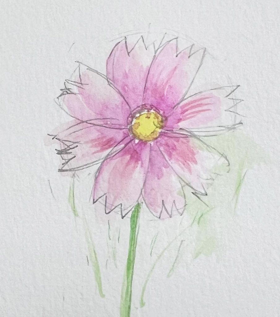 水彩画入門】透明水彩で花のイラストを描くコツと練習法を解説