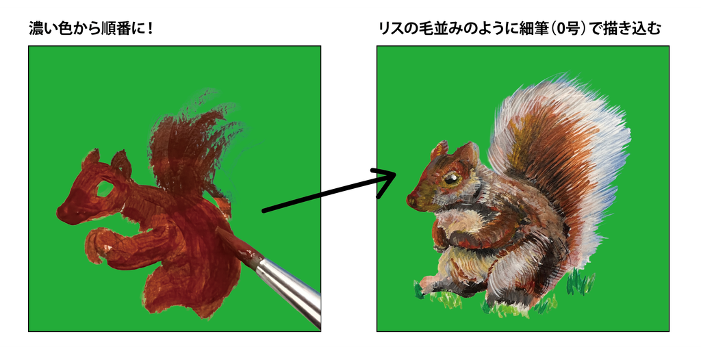 リス・イラスト、アクリル絵の具での描き方